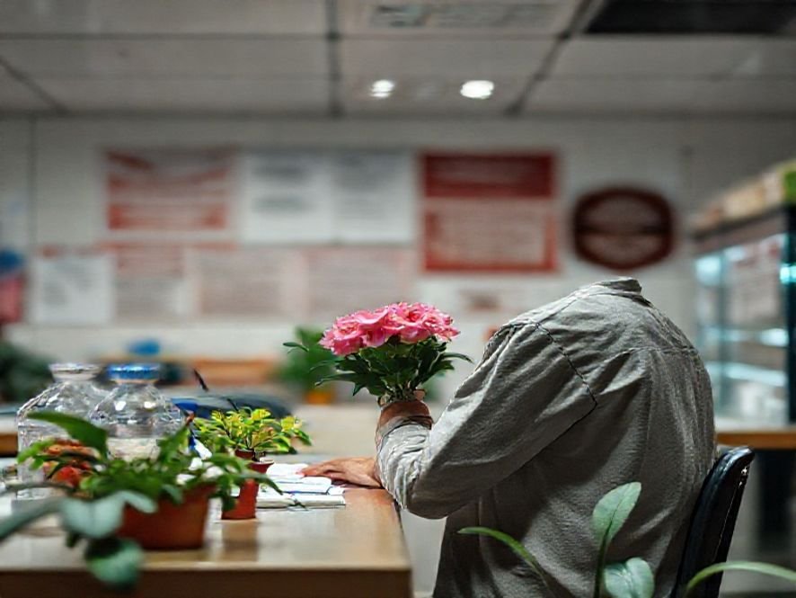 Análise da Facilidade de Montagem (7 Peças, 15-30 Minutos) da Cadeira Rosa