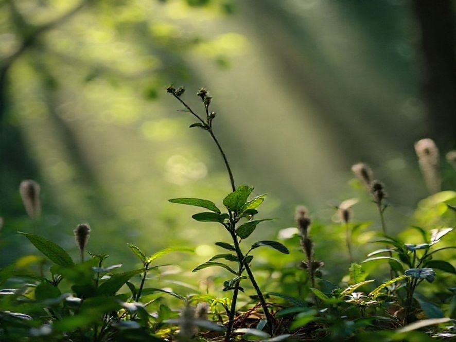 Cadeira Kopenhagen Branca: Como a Luz Natural Afeta o Couro Ecológico (PU) ao Longo do Tempo.