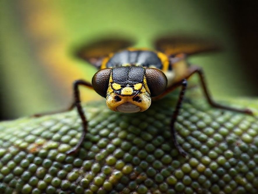 Cadeira Python Fly vs. Cadeiras Simples: Por Que o Design Curvo Ergonômico se Destaca em Suporte?