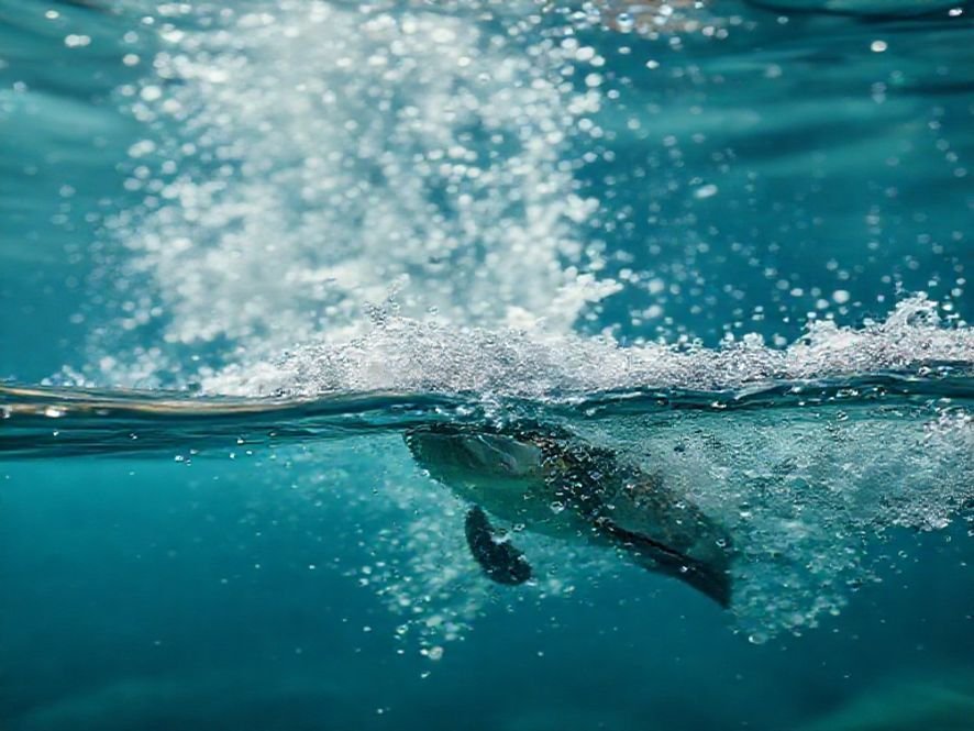 Couro à Prova D'água e Aço: A Cadeira Que Entrega Qualidade e Durabilidade.