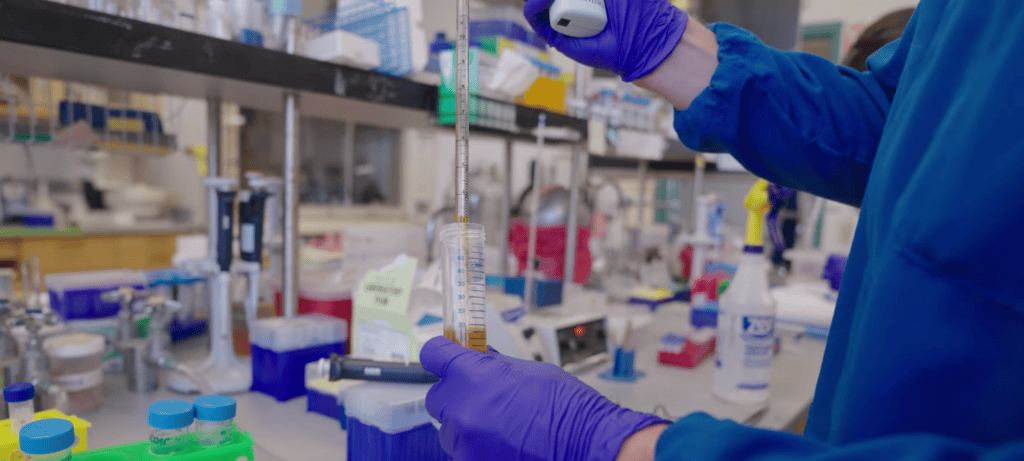 Cientistas dos EUA produzem em larga escala pigmento responsável pela camuflagem dos polvos - Imagem do artigo