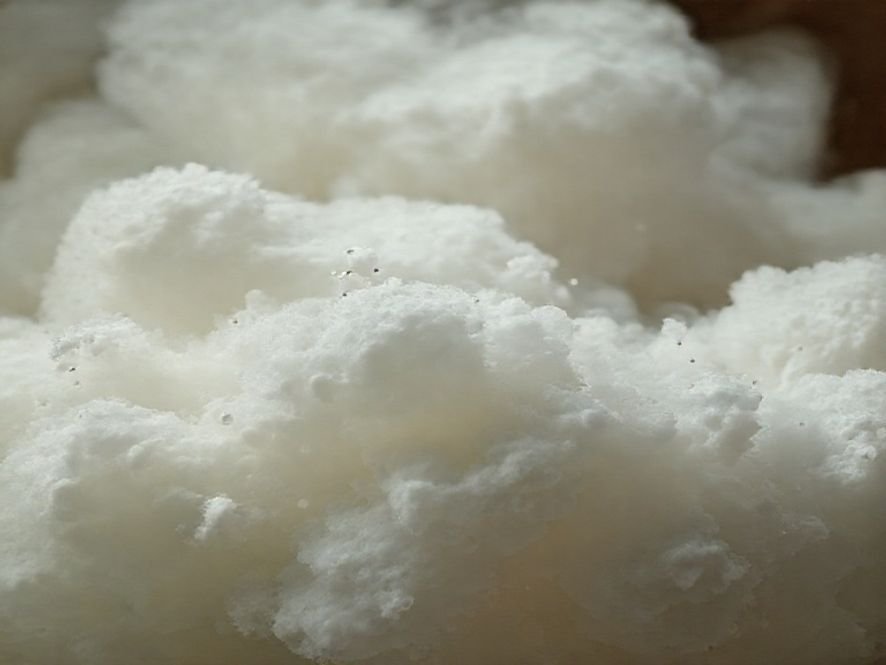 Poltrona Grécia Boucle Bege: Avaliação da Densidade da Espuma do Assento