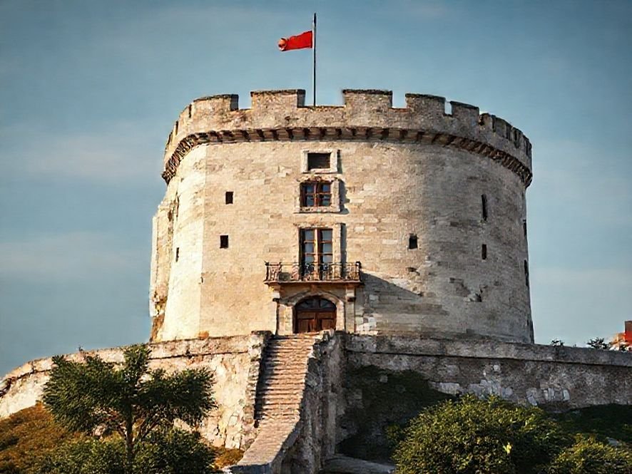 Cadeira Fortt Lisboa: O Que o Estilo Moderno Diz Sobre a Sua Imagem Profissional.